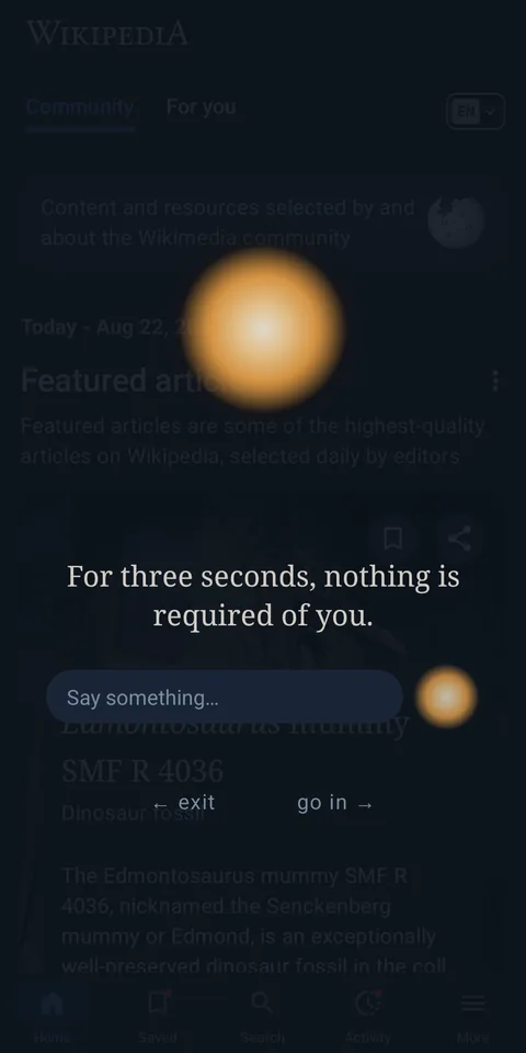 A pause over another app, reading “For three seconds, nothing is required of you.”, with exit and go-in offered underneath.